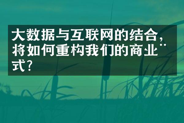 大数据与互联网的结合，将如何重构我们的商业模式？