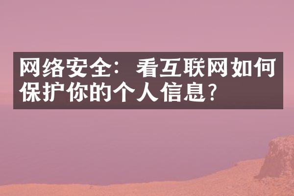 网络安全：看互联网如何保护你的个人信息？