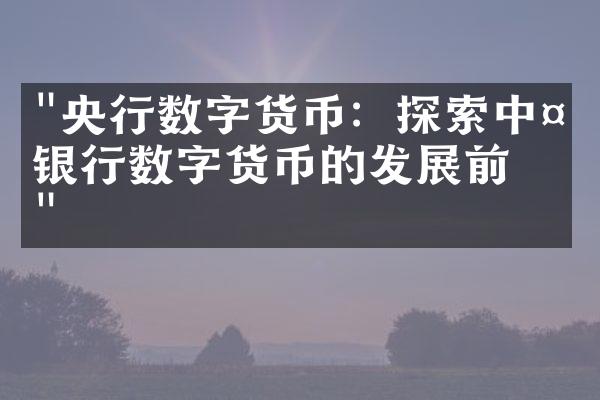 "央行数字货币：探索中央银行数字货币的发展前景"