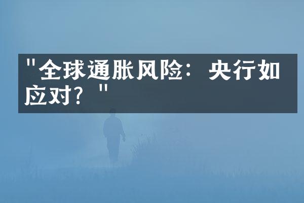 "全球通胀风险：央行如何应对？"