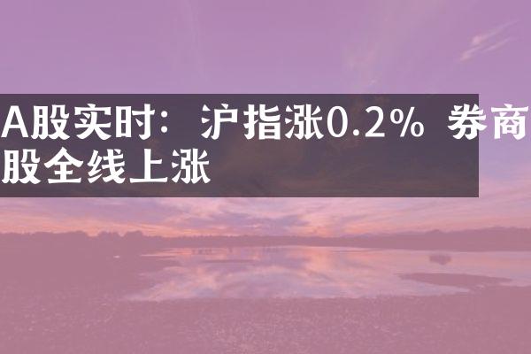 A股实时：沪指涨0.2% 券商股全线上涨