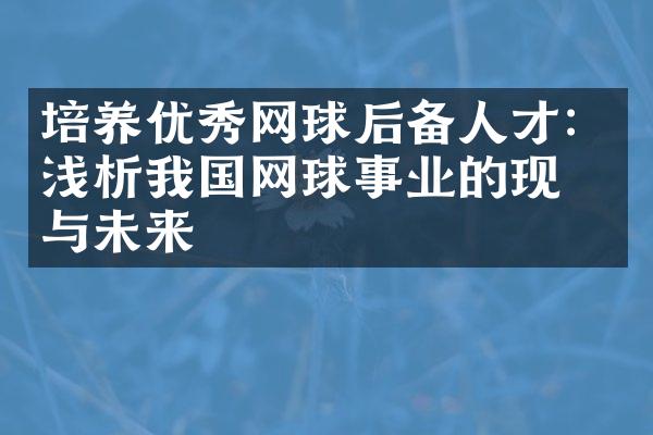 培养优秀网球后备人才：浅析我国网球事业的现状与未来