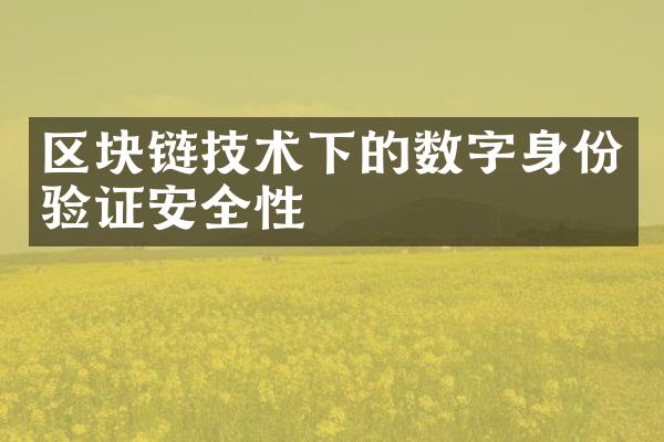 区块链技术下的数字身份验证安全性