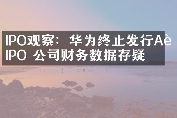 IPO观察：华为终止发行A股IPO 公司财务数据存疑