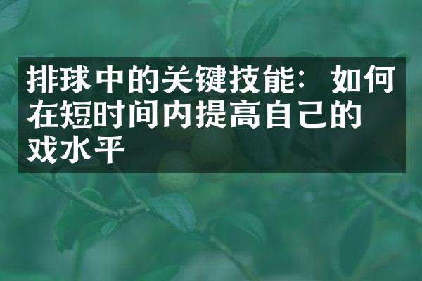 排球中的关键技能：如何在短时间内提高自己的游戏水平