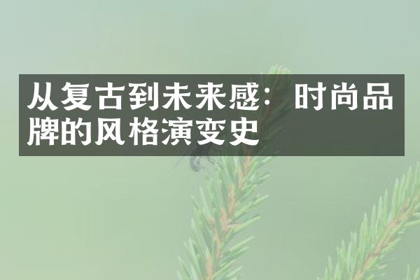 从复古到未来感：时尚品牌的风格演变史