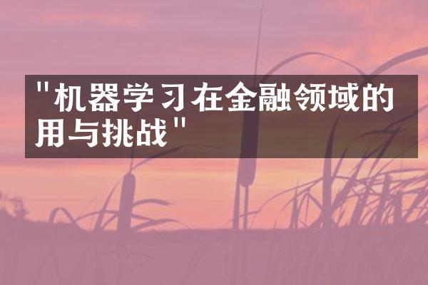 "机器学习在金融领域的应用与挑战"