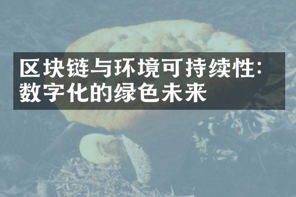 区块链与环境可持续性：数字化的绿色未来