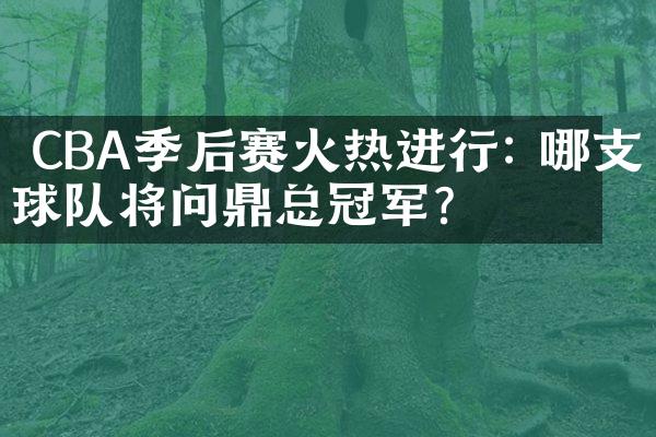  CBA季后赛火热进行: 哪支球队将问鼎总冠军？