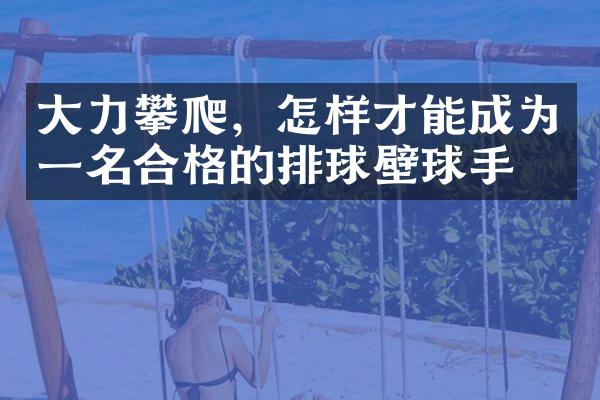 力攀爬，怎样才能成为一名合格的排球壁球手？