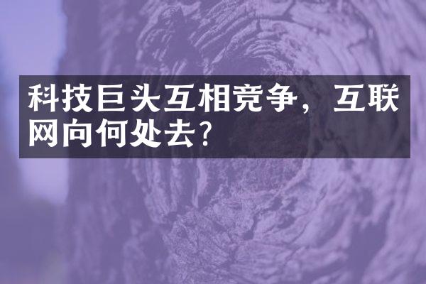 科技巨头互相竞争，互联网向何处去？