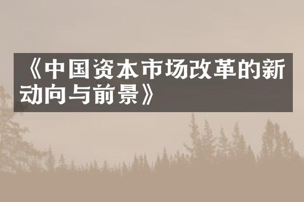 《资本市场的新动向与前景》