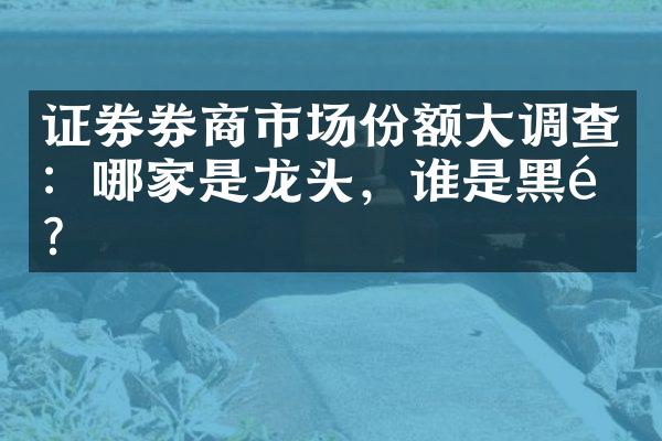 证券券商市场份额大调查：哪家是龙头，谁是黑马？