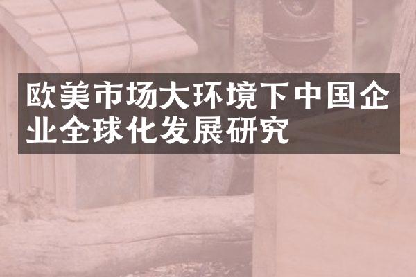 欧美市场大环境下中国企业全球化发展研究