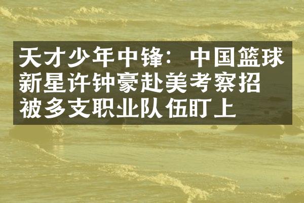 天才少年中锋：篮球新星许钟豪赴美考察招募被多支职业队伍盯上