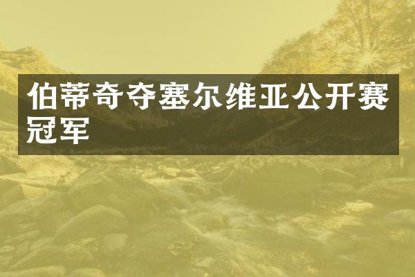 伯蒂奇夺塞尔维亚公开赛冠军