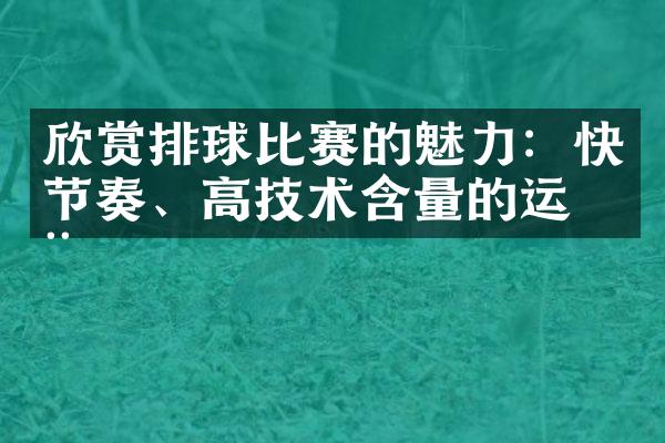 欣赏排球比赛的魅力：快节奏、高技术含量的运动