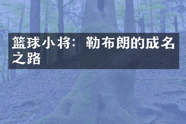 篮球小将：勒布朗的成名之路