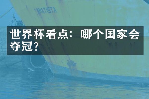 世界杯看点：哪个国家会夺冠？