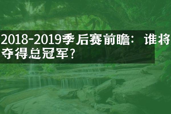 2018-2019季后赛前瞻：谁将夺得总冠军？