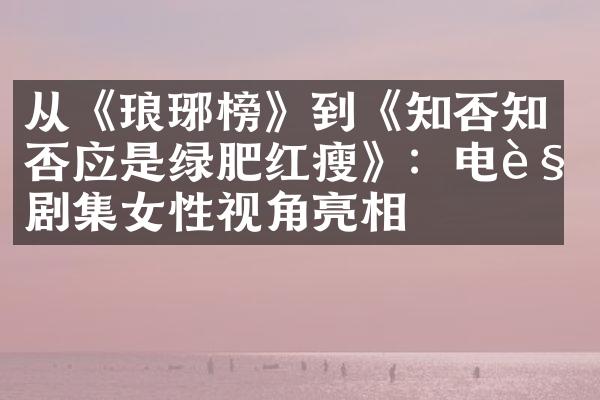 从《琅琊榜》到《知否知否应是绿肥红瘦》：电视剧集女性视角亮相