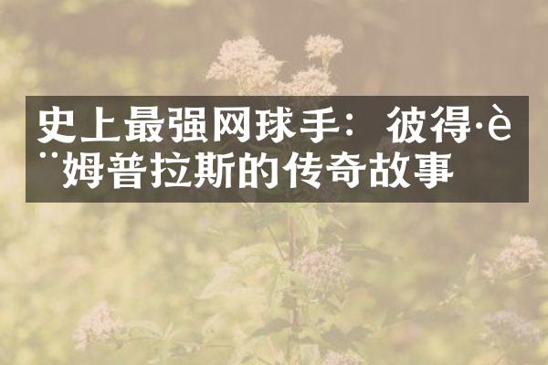 史上最强网球手：彼得&萨姆普拉斯的传奇故事