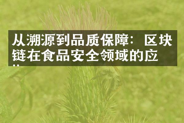 从溯源到品质保障：区块链在食品安全领域的应用