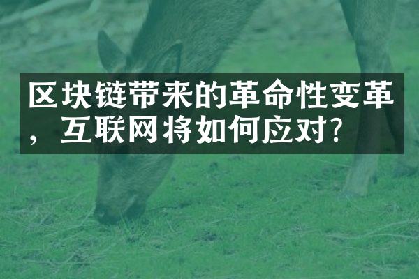 区块链带来的革命性变革，互联网将如何应对？