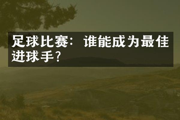 足球比赛：谁能成为最佳进球手？