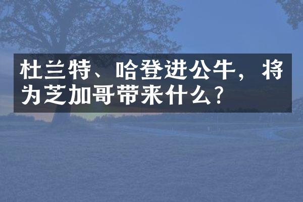 杜兰特、哈登进公牛，将为芝加哥带来什么？