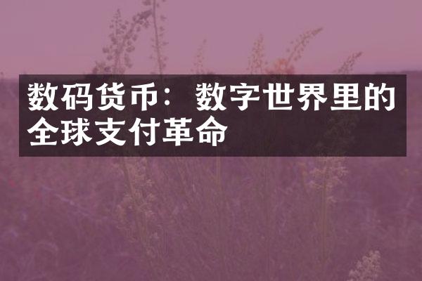 数码货币：数字世界里的全球支付革命