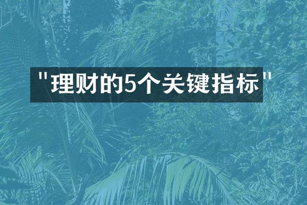 "理财的5个关键指标"