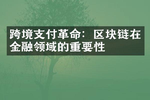 跨境支付革命：区块链在金融领域的重要性