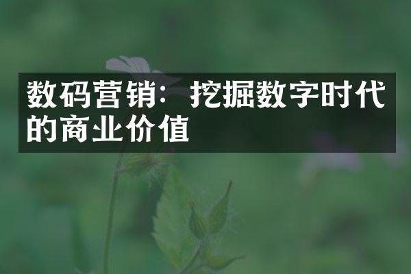 数码营销：挖掘数字时代的商业价值