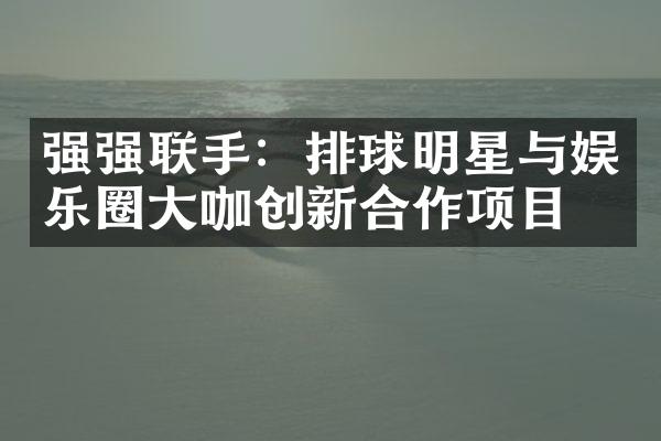 强强联手：排球明星与娱乐圈咖创新合作项目