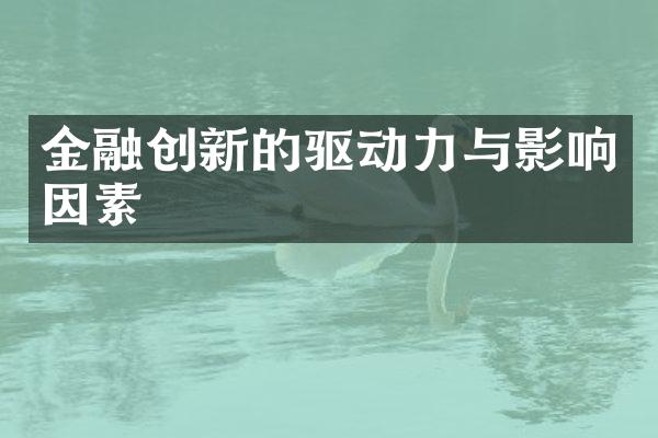 金融创新的驱动力与影响因素