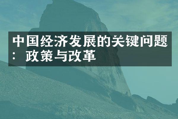 中国经济发展的关键问题：政策与改革