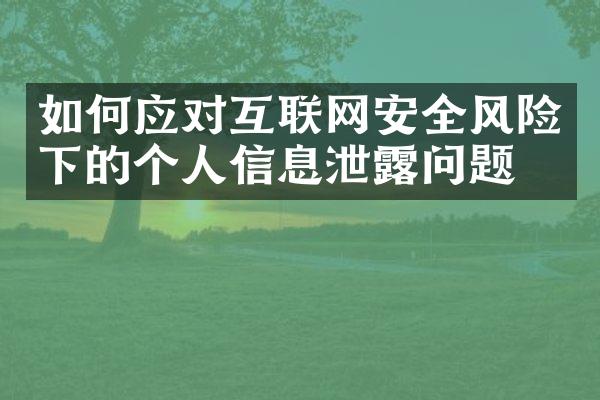 如何应对互联网安全风险下的个人信息泄露问题？