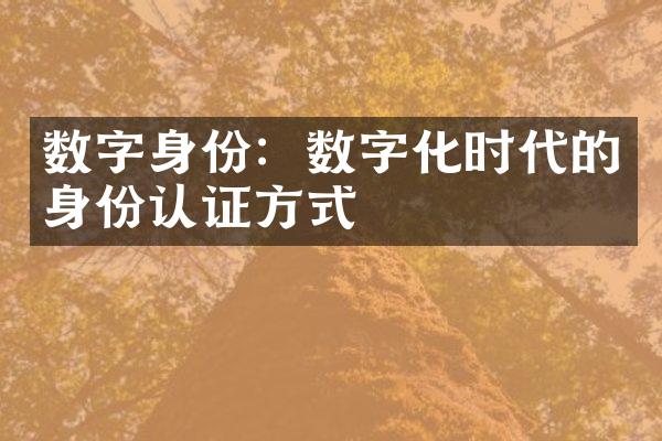 数字身份：数字化时代的身份认证方式