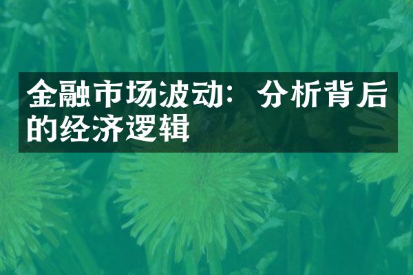 金融市场波动：分析背后的经济逻辑