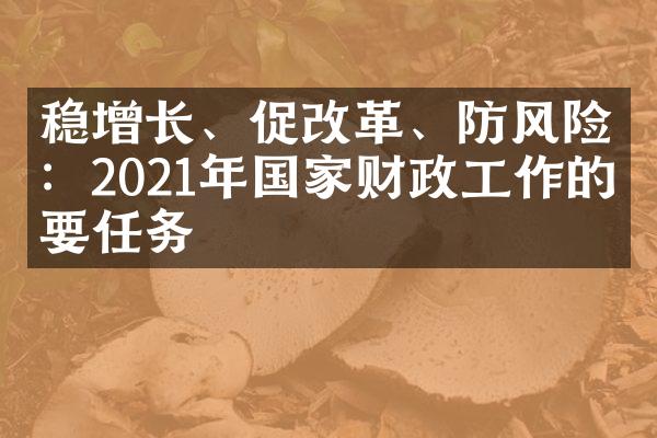 稳增长、促改革、防风险：2021年国家财政工作的主要任务