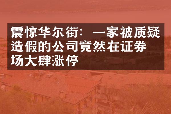 震惊华尔街：一家被质疑造假的公司竟然在证券市场大肆涨停