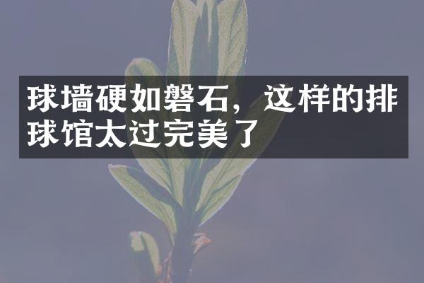 球墙硬如磐石，这样的排球馆太过完美了