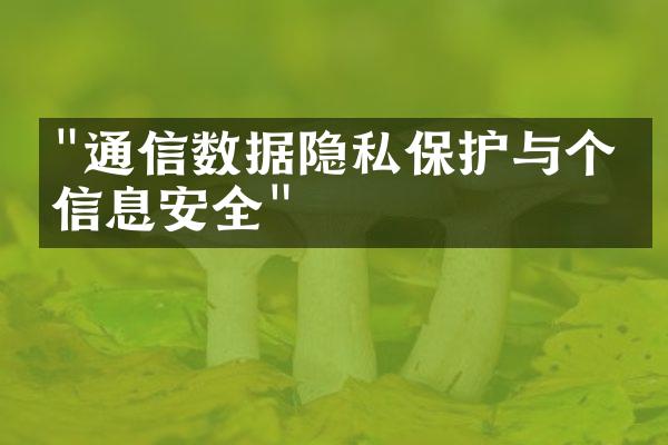 "通信数据隐私保护与个人信息安全"