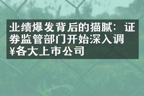 业绩爆发背后的猫腻：证券监管部门开始深入调查各大上市公司