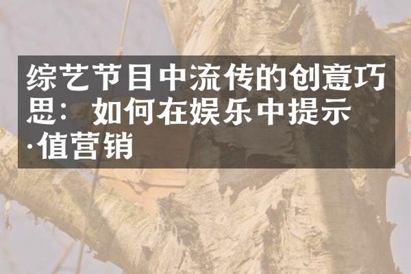 综艺节目中流传的创意巧思：如何在娱乐中提示价值营销