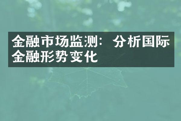 金融市场监测：分析国际金融形势变化