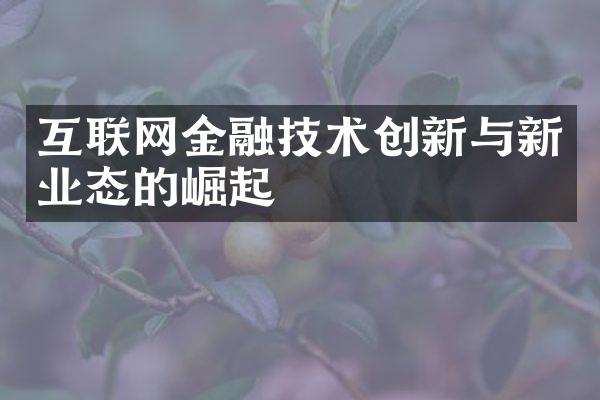 互联网金融技术创新与新业态的崛起