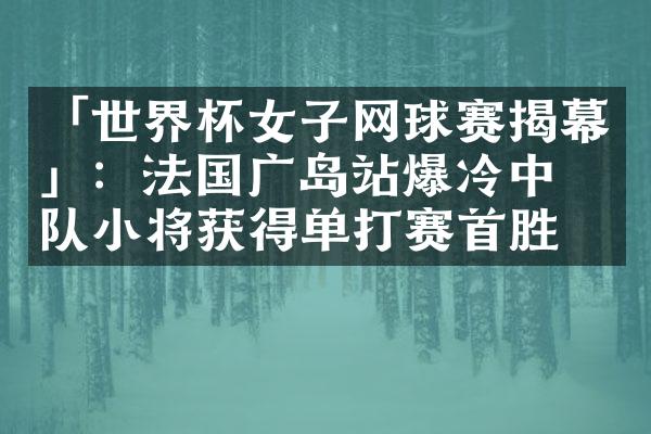 「世界杯女子网球赛揭幕」：法国广岛站爆冷中国队小将获得单打赛首胜