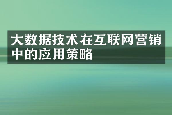 大数据技术在互联网营销中的应用策略